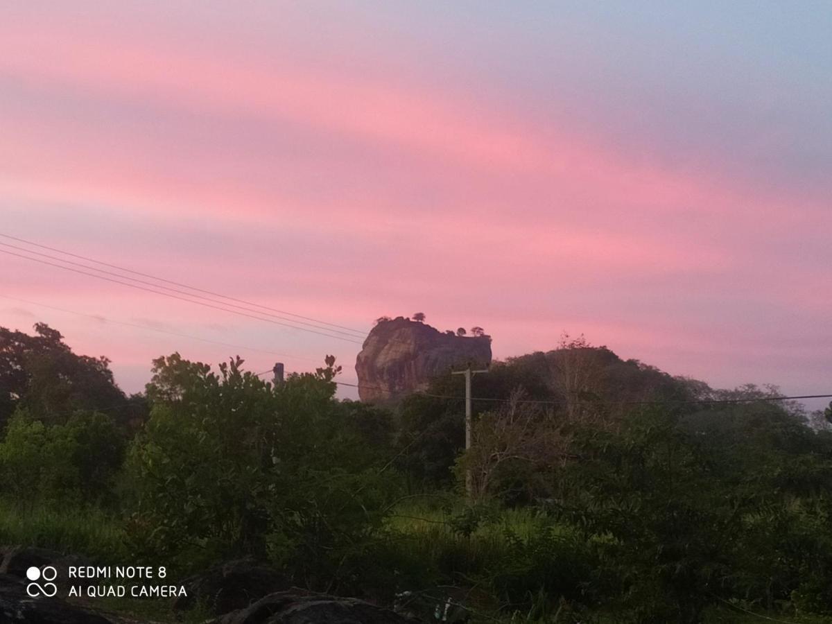 Sigiri Gayani Home Stay سيغيرِيا المظهر الخارجي الصورة